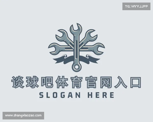 认识谈球吧体育官网入口